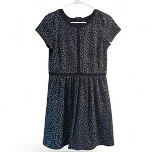 Ann Taylor Loft Animal Print Leopard Short Sleeve Dress